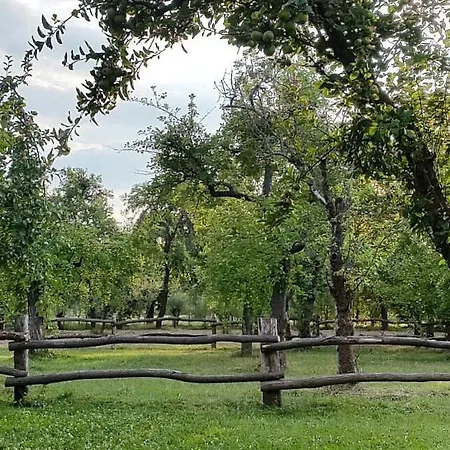 Hotel Augustusgabe Barby