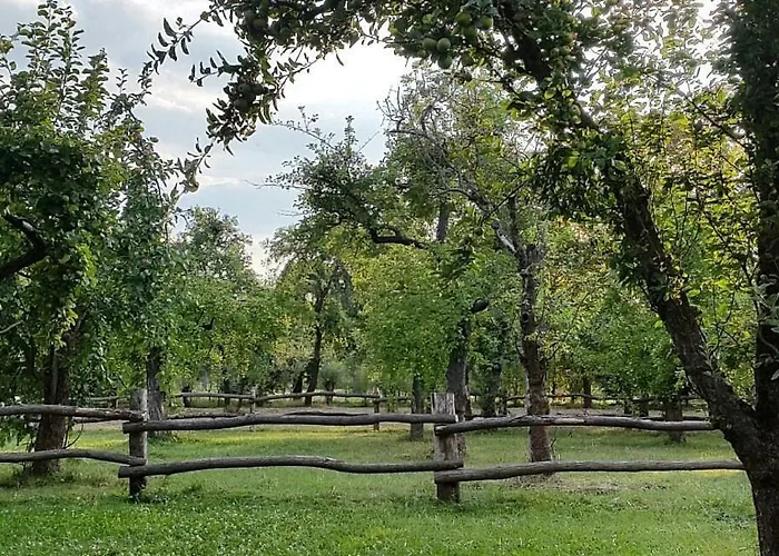 מלון Augustusgabe בארבי